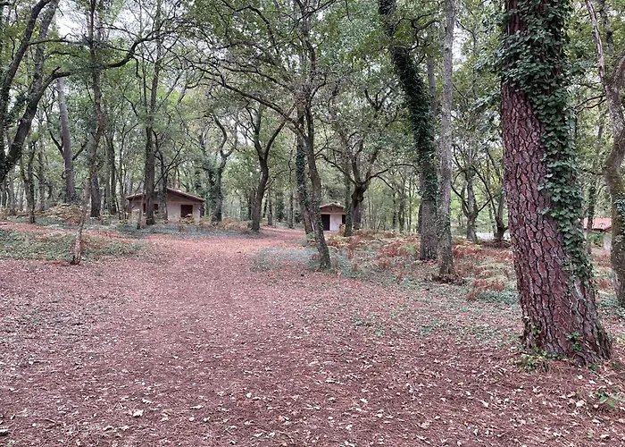 Cap Village