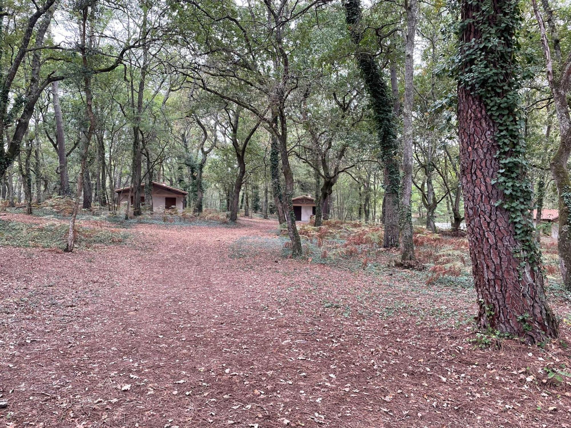 Cap Village * Barbaste